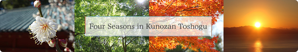 Four Seasons in Kunozan Toshogu