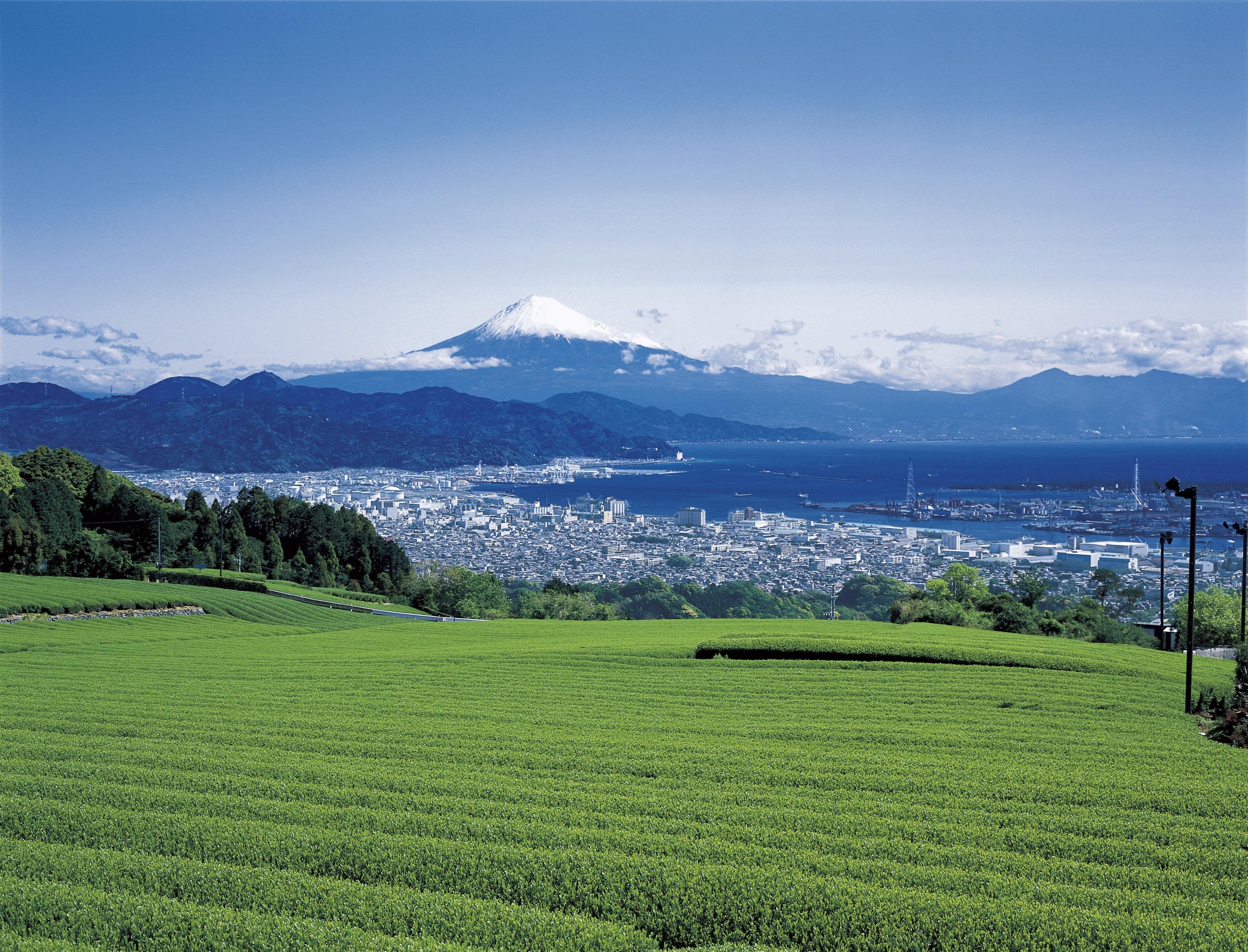 11_1　日本平からの富士山.jpg